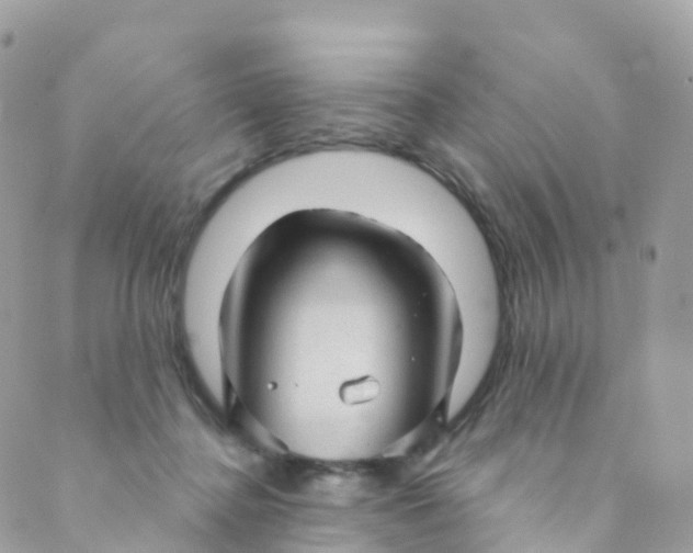 X0000089440364200707061414