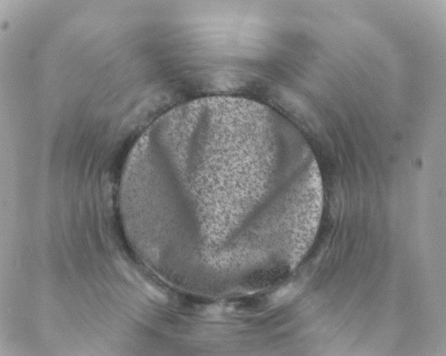 X0000089440366200707061414