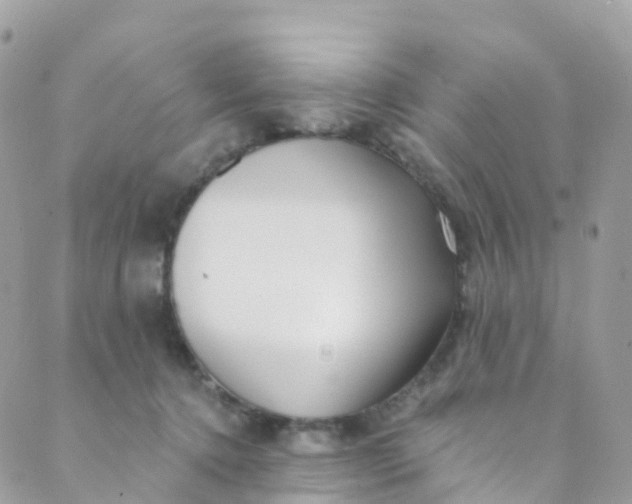 X0000089440368200707061414