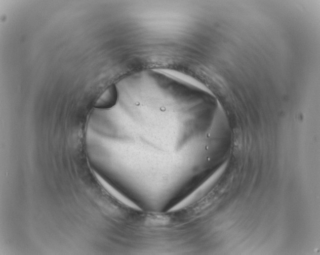 X0000089440369200707061414