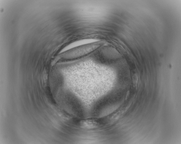 X0000089440372200707061414