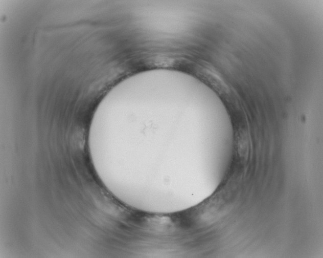 X0000089440374200707061414