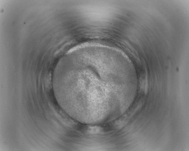 X0000089440376200707061414