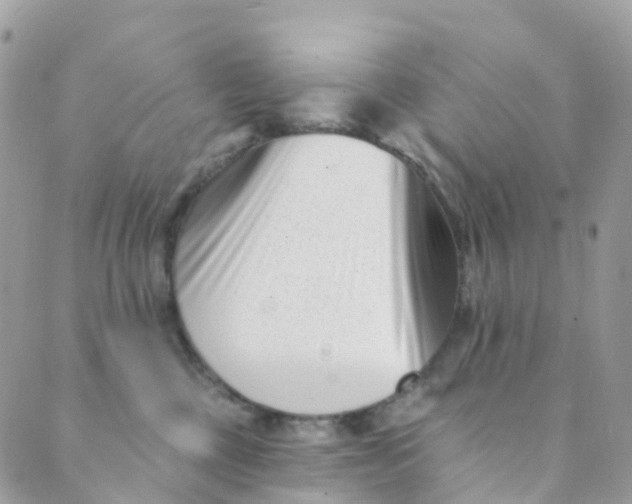 X0000089440377200707061414