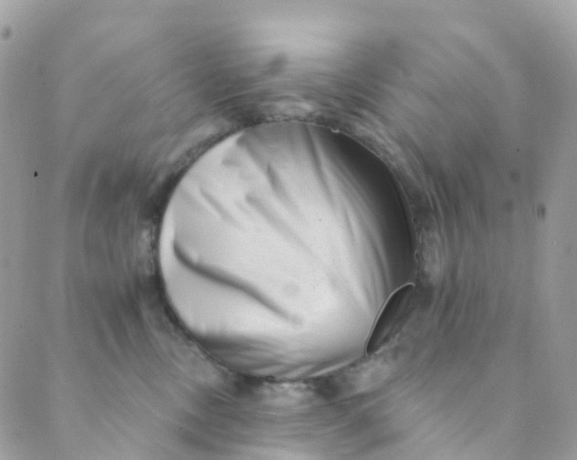 X0000089440378200707061414