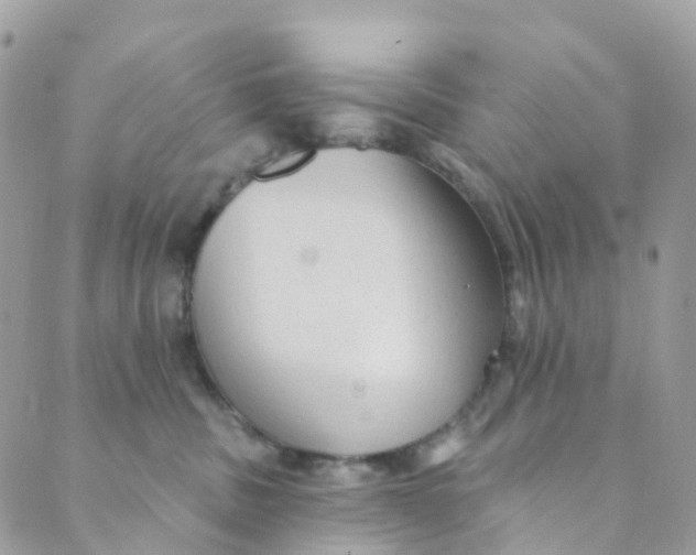 X0000089440379200707061414