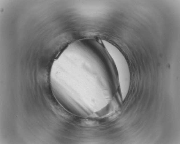 X0000089440380200707061414