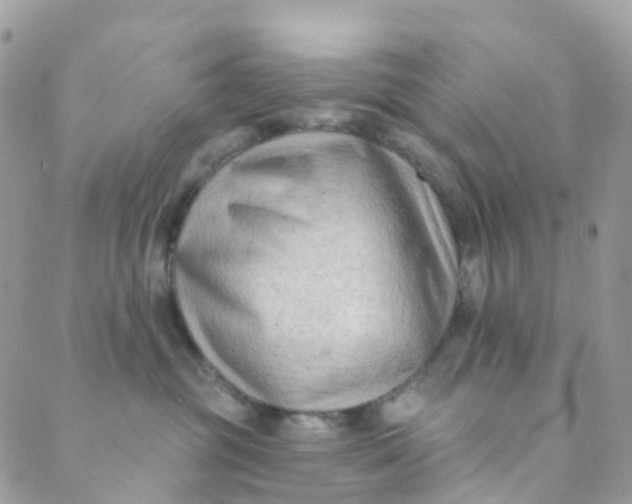 X0000089440381200707061414
