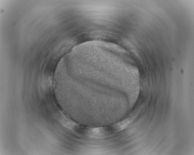 X0000089440382200707061414