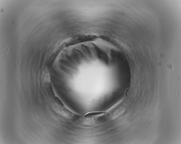 X0000089440384200707061414