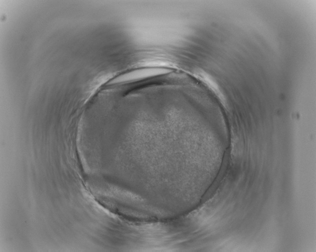 X0000089440385200707061414