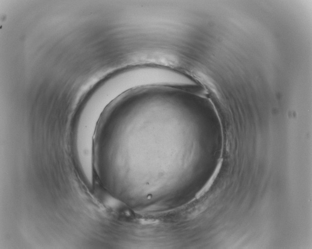 X0000089440388200707061414