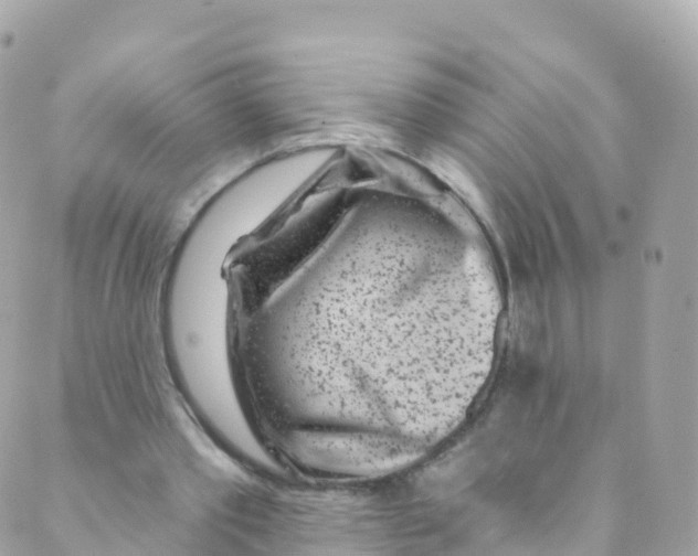 X0000089440389200707061414