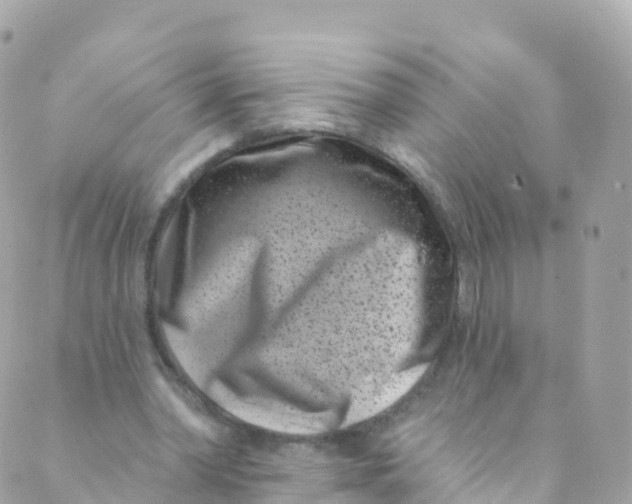 X0000089440390200707061414