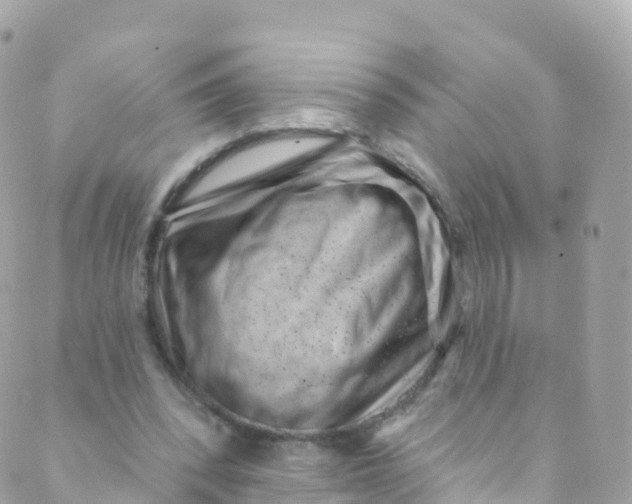 X0000089440392200707061414