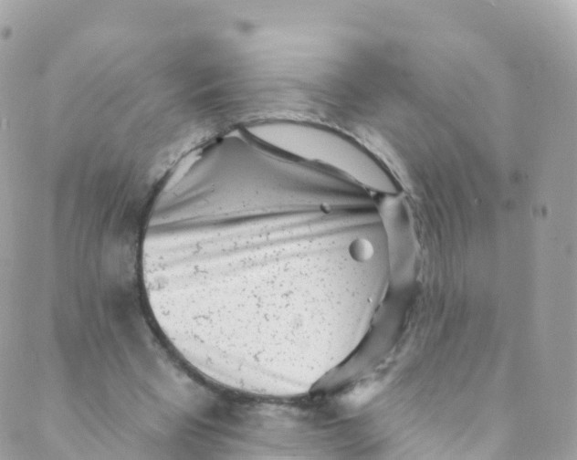 X0000089440393200707061413