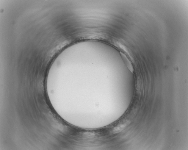 X0000089440394200707061413