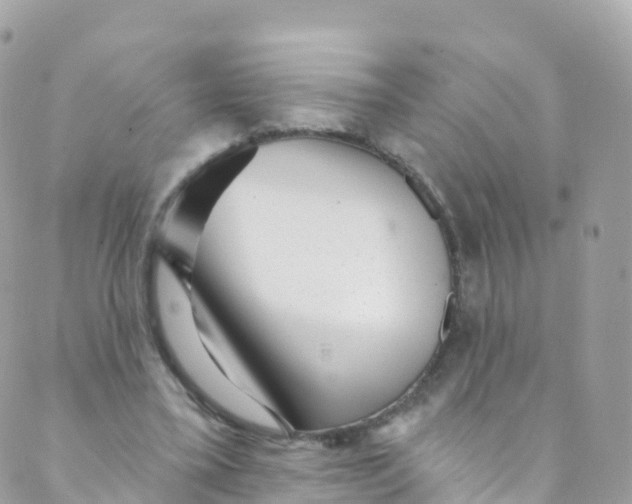 X0000089440395200707061413