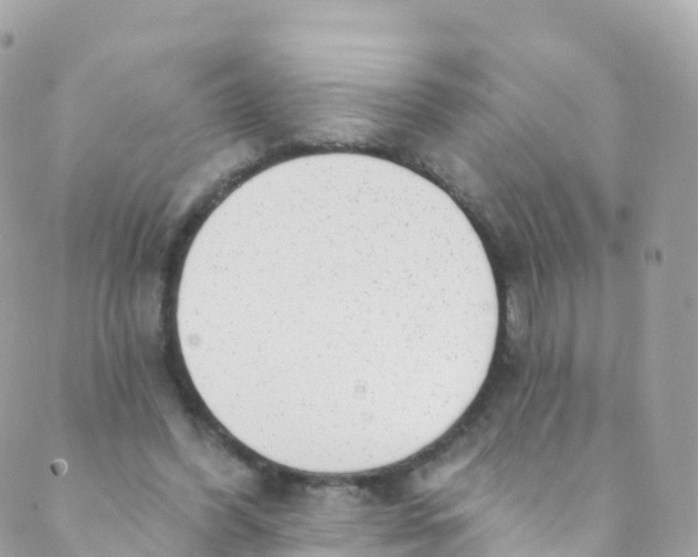 X0000089440396200707061413