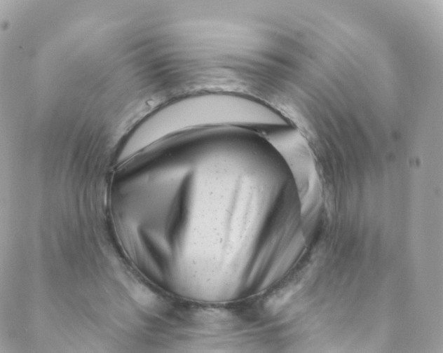 X0000089440397200707061413