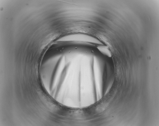 X0000089440398200707061413