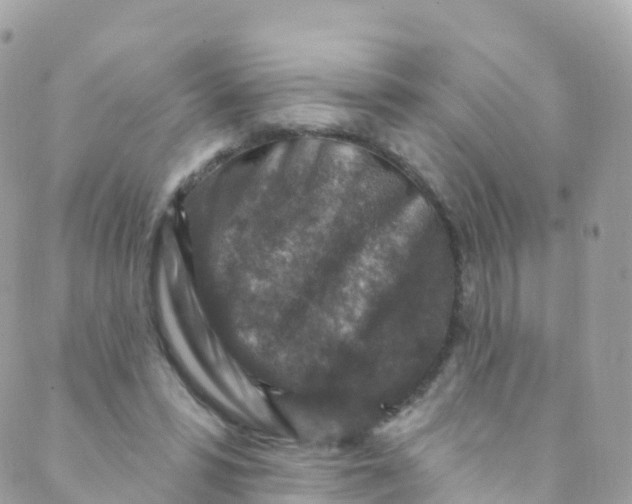 X0000089440399200707061413