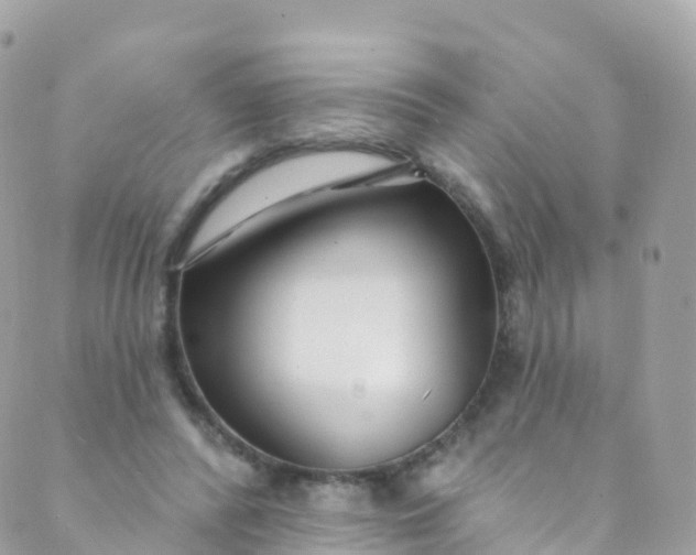 X0000089440400200707061413