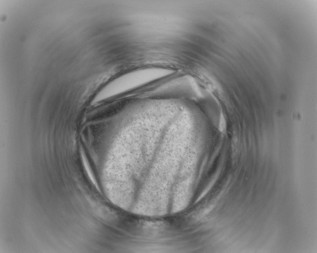 X0000089440401200707061413