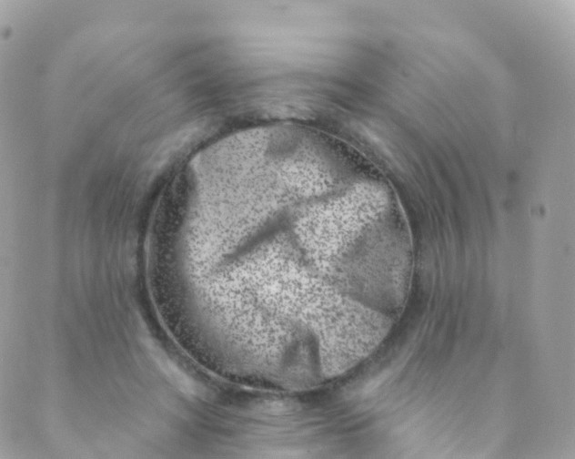 X0000089440402200707061413