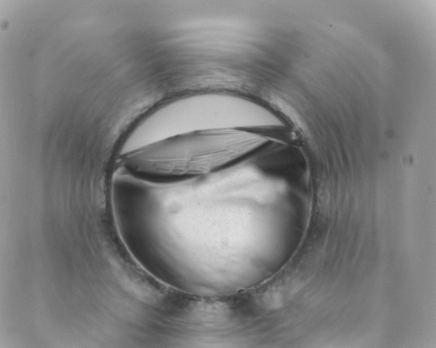 X0000089440403200707061413