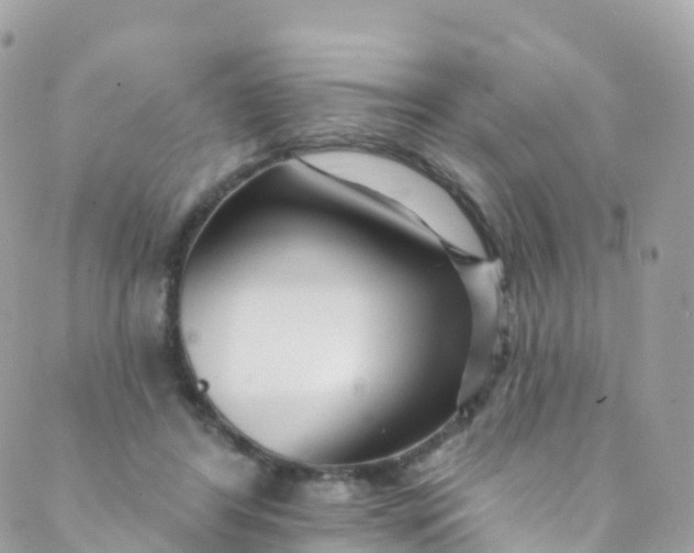 X0000089440404200707061413