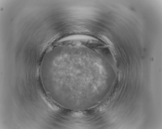 X0000089440405200707061413