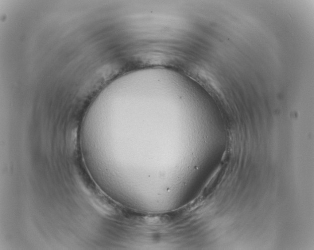 X0000089440406200707061413