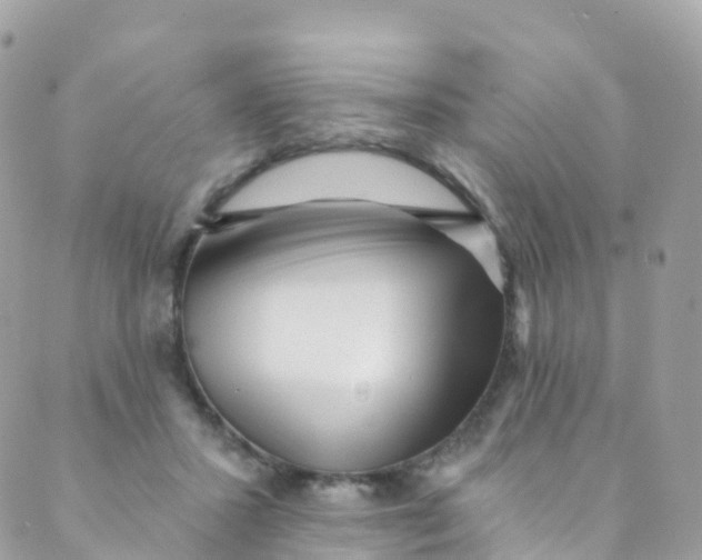 X0000089440407200707061413