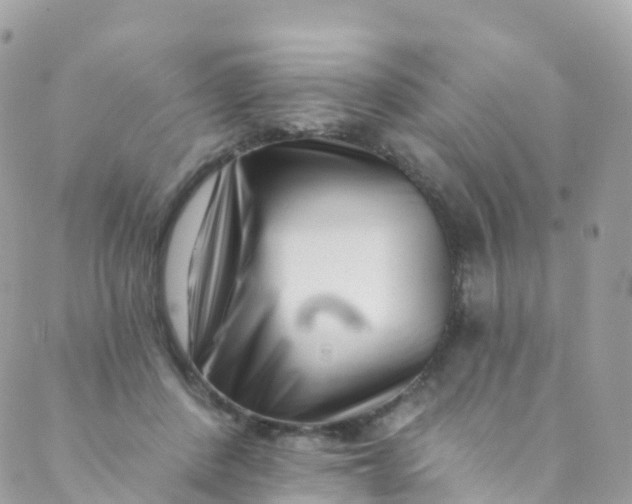 X0000089440408200707061413