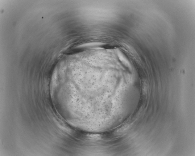 X0000089440409200707061413