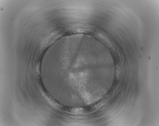 X0000089440410200707061413