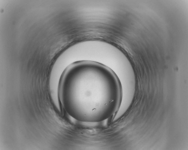 X0000089440411200707061413