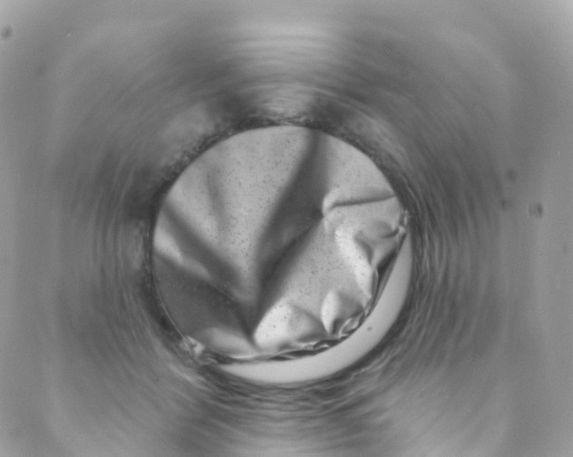 X0000089440412200707061413