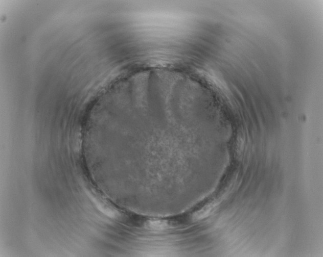 X0000089440413200707061413