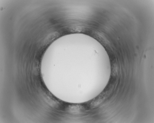 X0000089440414200707061413