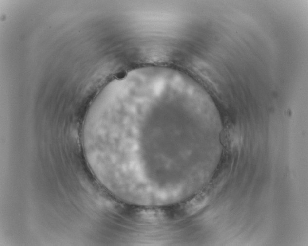 X0000089440415200707061413