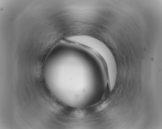 X0000089440416200707061413