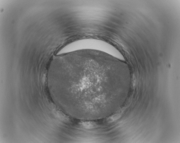 X0000089440417200707061413