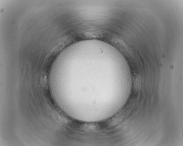 X0000089440418200707061413