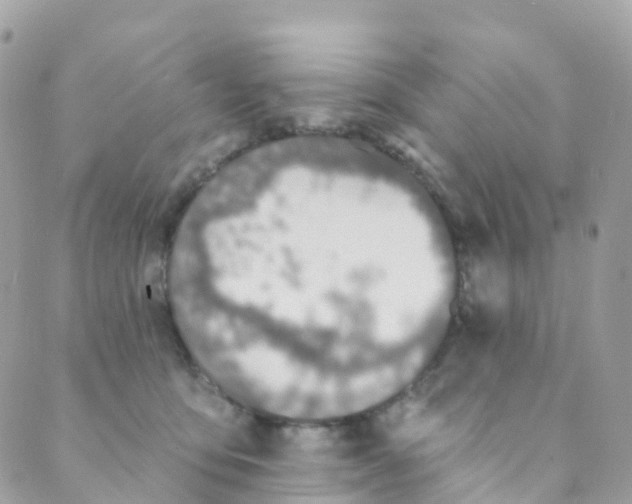 X0000089440419200707061413