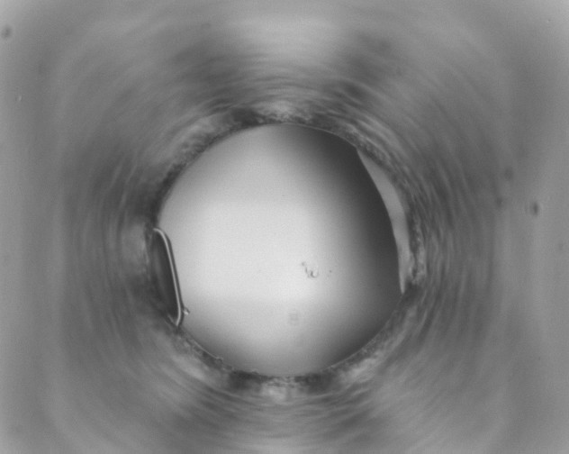 X0000089440420200707061413