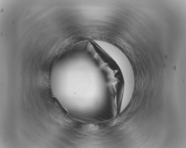 X0000089440421200707061413