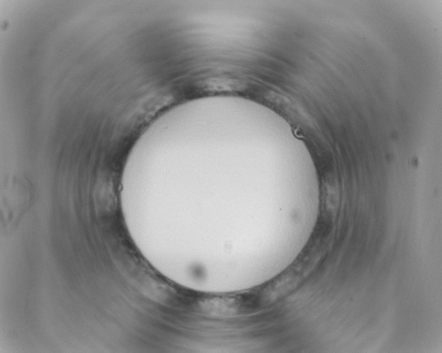 X0000089440422200707061413