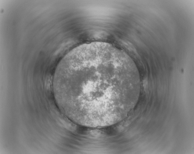 X0000089440423200707061413